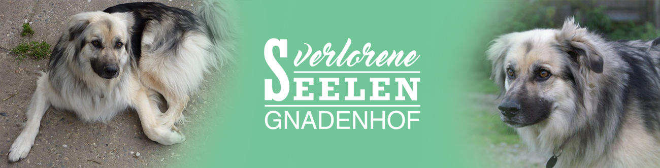 (c) Gnadenhof-verlorene-seelen.de