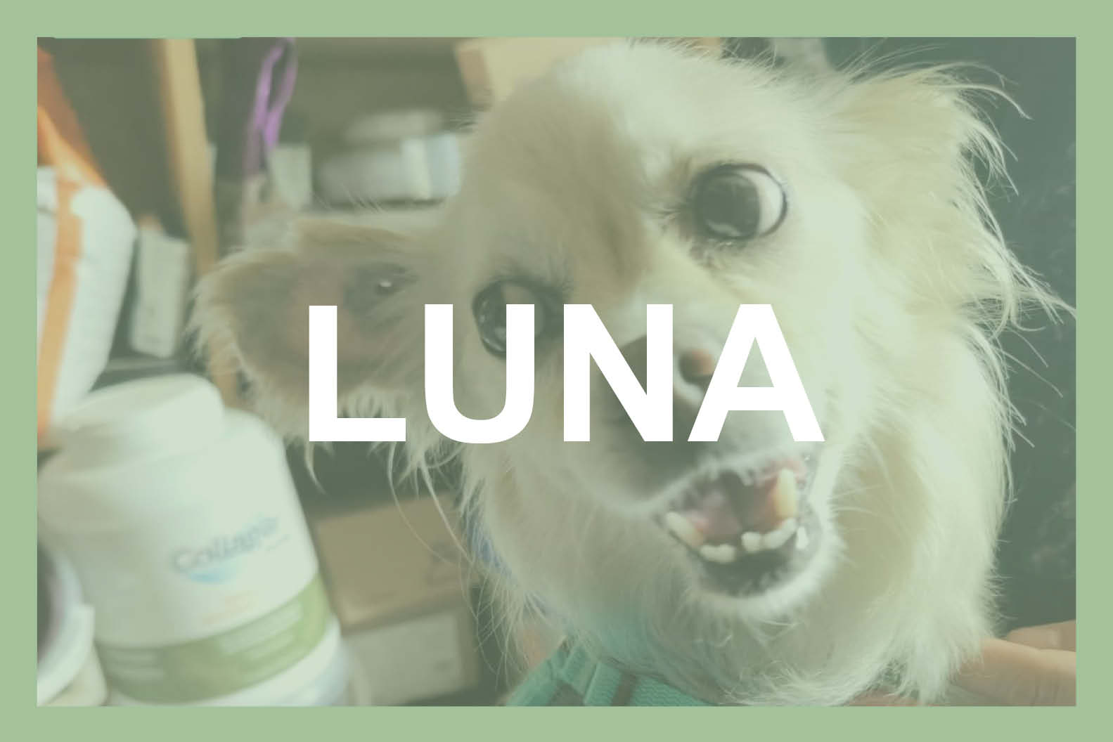 Buttons_luna